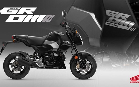 Neufahrzeug Honda MSX125 Grom - Bild 2