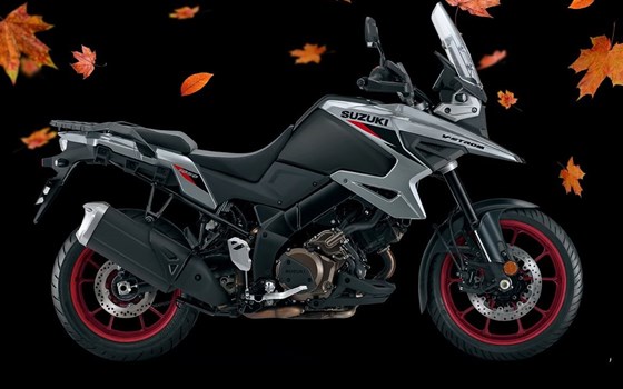 Neufahrzeug Suzuki V-Strom 1050 - Bild 1