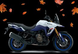 Neumotorrad Suzuki V-Strom 800DE