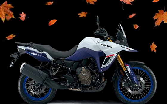 Neufahrzeug Suzuki V-Strom 800DE - Bild 1