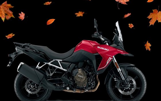 Neufahrzeug Suzuki V-Strom 800 - Bild 1