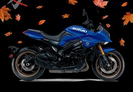 Neumotorrad Suzuki Katana