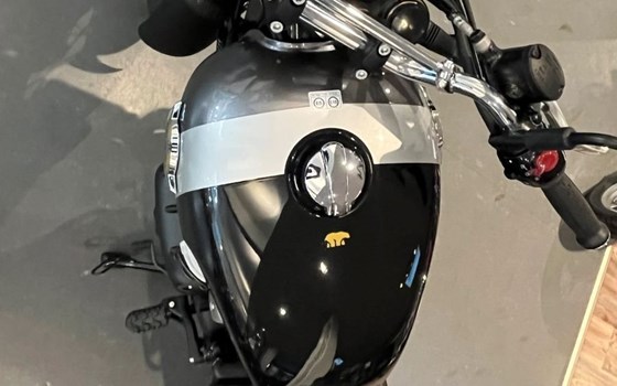 Neufahrzeug Royal Enfield Bear 650 - Bild 6