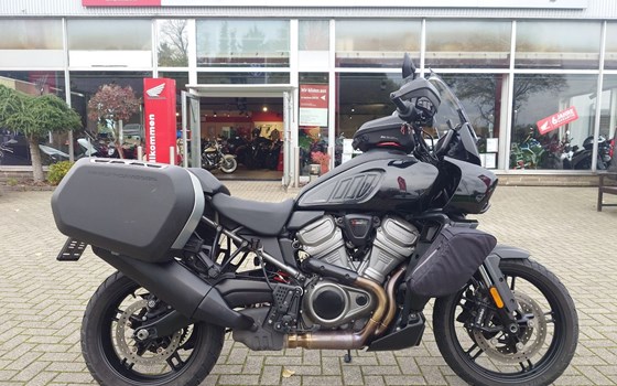 Gebrauchtmotorrad Harley-Davidson Pan America 1250 - Bild 1