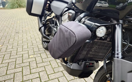 Gebrauchtmotorrad Harley-Davidson Pan America 1250 - Bild 14