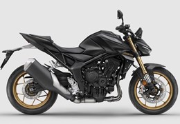 Neumotorrad Honda CB1000 Hornet SP