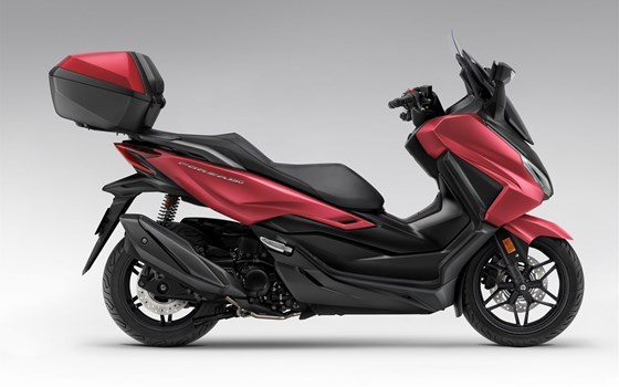 Gebrauchtmotorrad Honda Forza 350 - Bild 2 Gebrauchtmotorrad Honda Forza 350 - Bild 2
