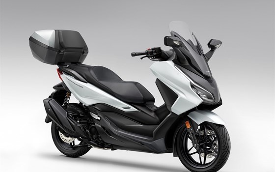 Neufahrzeug Honda Forza 350 - Bild 5 Neufahrzeug Honda Forza 350 - Bild 5