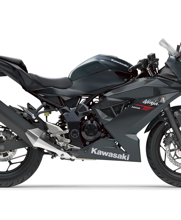 Kawasaki Ninja 125<br />