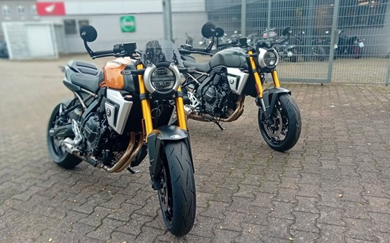 Neufahrzeug Suzuki GSX-8T - Bild 2