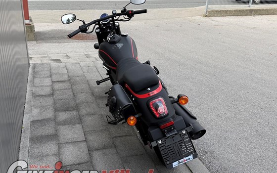 Gebrauchtmotorrad United Motors UM Renegade Vegas 125 - Bild 6 Gebrauchtmotorrad United Motors UM Renegade Vegas 125 - Bild 6