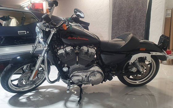 Motorrad Occasion Harley-Davidson Sportster XL 883 L SuperLow - Bild 1