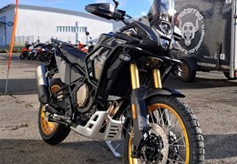 Neumotorrad Voge 800 Rally