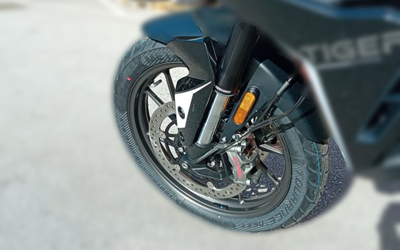 Neufahrzeug Triumph Tiger 900 GT Pro - Bild 6