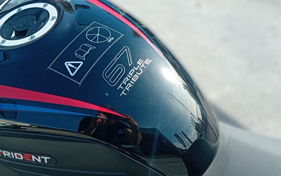 Neufahrzeug Triumph Trident 660 Triple Tribute - Bild 9