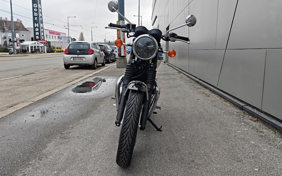 Neufahrzeug Triumph Bonneville T120 - Bild 3