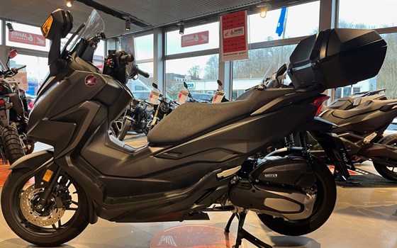 Gebrauchtmotorrad Honda Forza 125 - Bild 4
