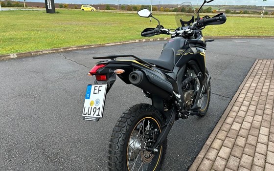 Gebrauchtmotorrad Voge 300 Rally - Bild 4