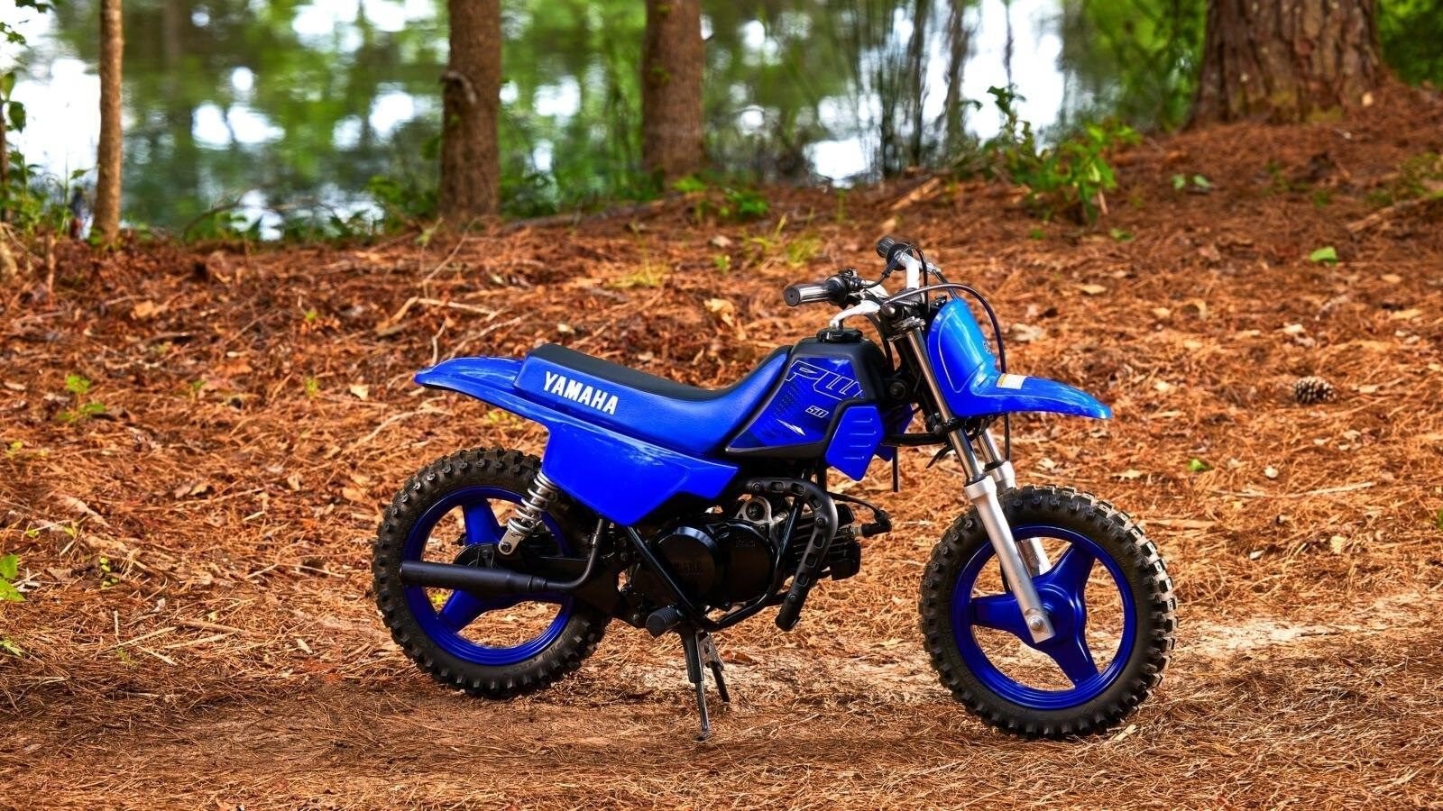 Yamaha PW50