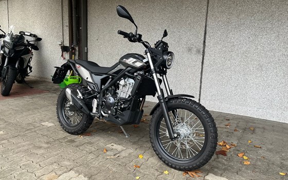 Gebrauchtmotorrad Beta Alp X - Bild 2