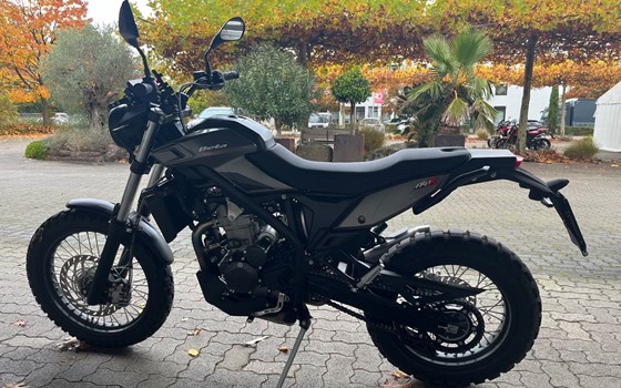 Gebrauchtmotorrad Beta Alp X - Bild 5