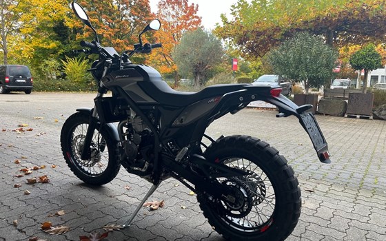 Gebrauchtmotorrad Beta Alp X - Bild 4