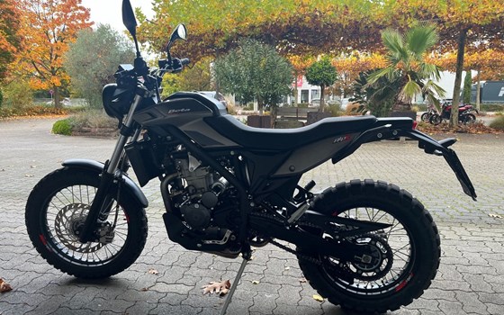 Gebrauchtmotorrad Beta Alp X - Bild 5