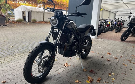 Gebrauchtmotorrad Beta Alp X - Bild 6