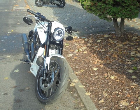 zum Vergrössern bitte anklicken!