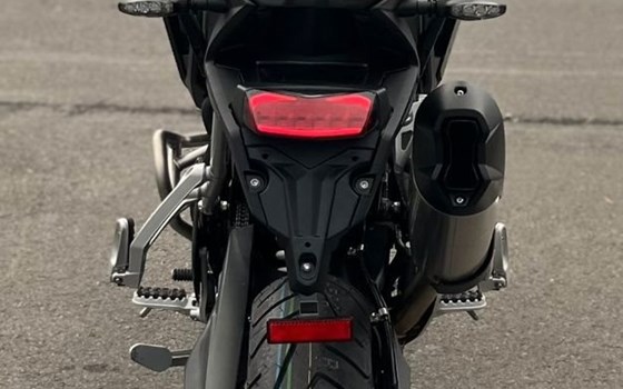 Gebrauchtmotorrad Triumph Tiger 900 Rally Pro - Bild 4