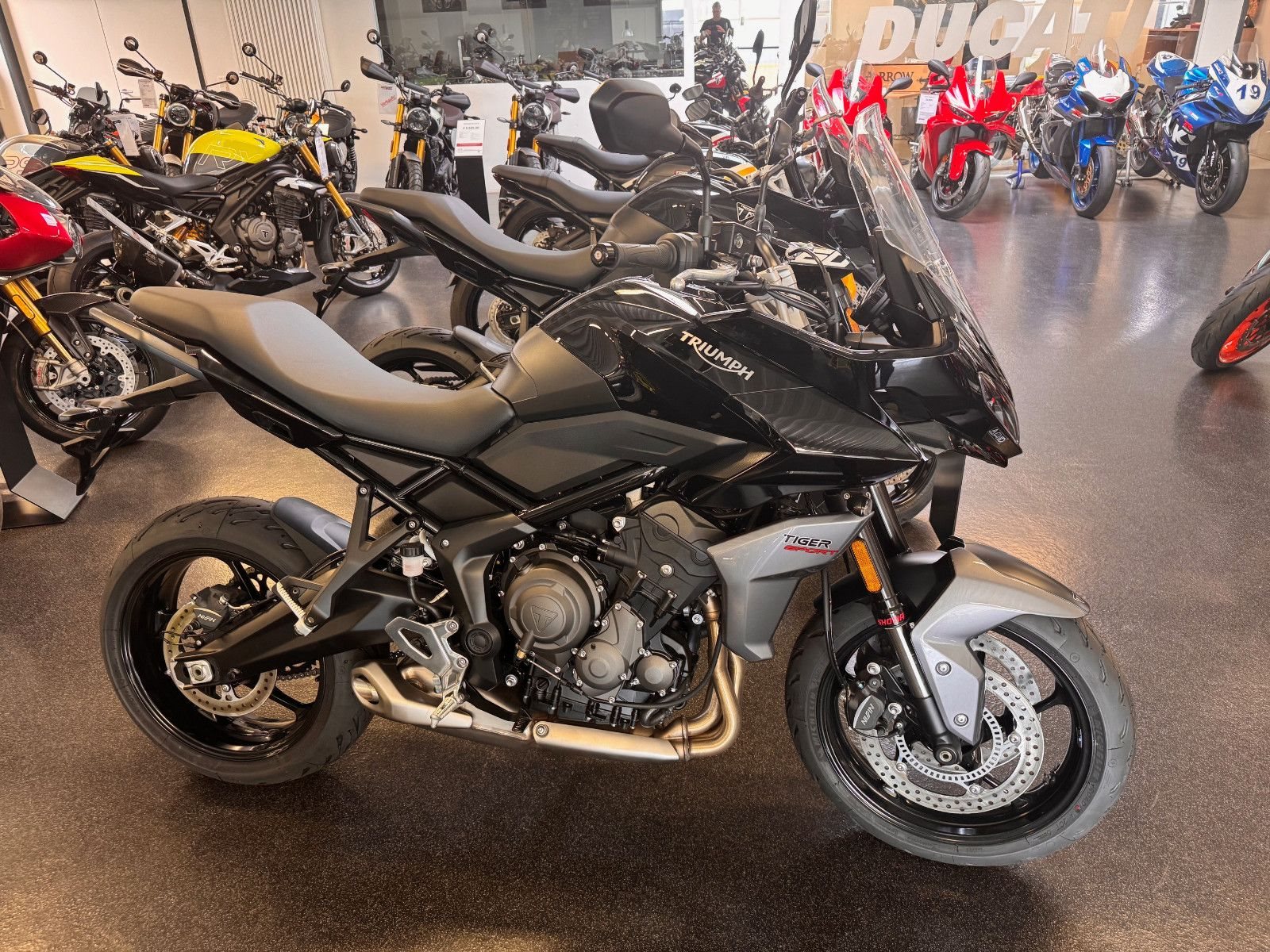 Triumph Tiger Sport 660