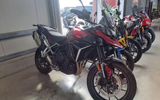 Gebrauchtmotorrad Triumph Tiger 900 GT Pro - Bild 3