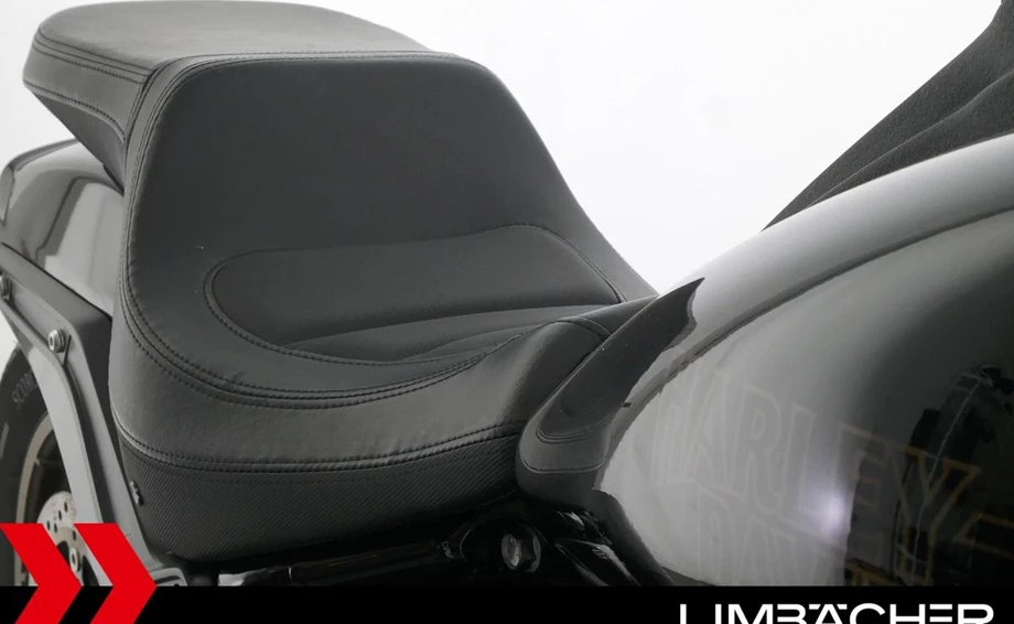 Angebot Harley-Davidson Softail Low Rider ST Bild 20: Angebot Harley-Davidson Softail Low Rider ST