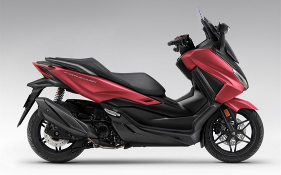 Neufahrzeug Honda Forza 350 - Bild 4 Neufahrzeug Honda Forza 350 - Bild 4