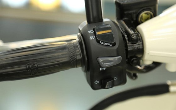 Neufahrzeug Royal Alloy TG 300 LC ABS - Bild 10