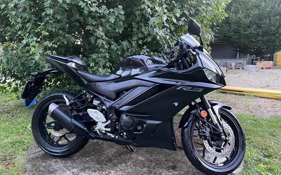Motorrad Occasion Yamaha YZF-R3 - Bild 5