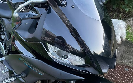 Motorrad Occasion Yamaha YZF-R3 - Bild 6