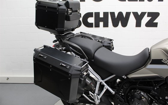 Motorrad Occasion Triumph Tiger 900 Rally Pro - Bild 8