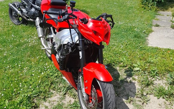Gebrauchtmotorrad Yamaha R1 - Bild 1