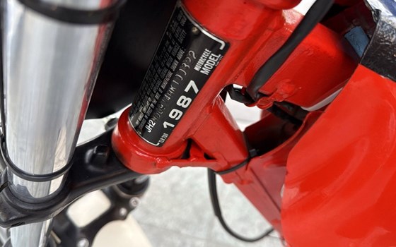 Gebrauchtmotorrad Honda TLR 200 - Bild 5