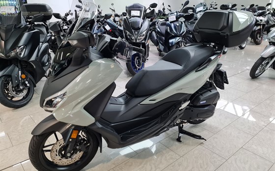 Gebrauchtmotorrad Honda Forza 125 - Bild 3 Gebrauchtmotorrad Honda Forza 125 - Bild 3