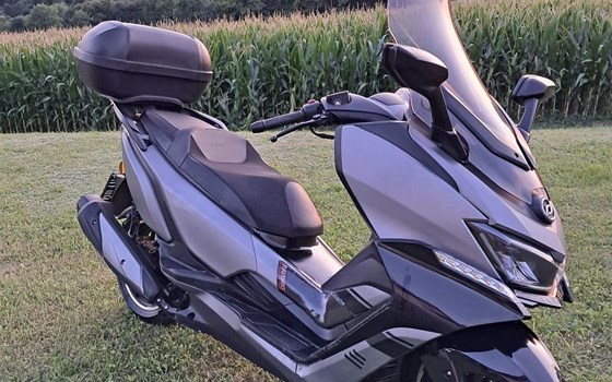 Gebrauchtmotorrad Daelim XQ 250 - Bild 2 Gebrauchtmotorrad Daelim XQ 250 - Bild 2
