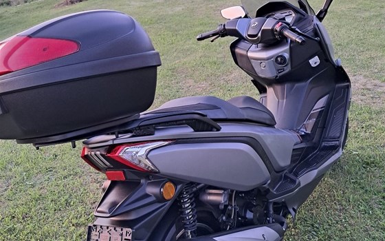 Gebrauchtmotorrad Daelim XQ 250 - Bild 4 Gebrauchtmotorrad Daelim XQ 250 - Bild 4