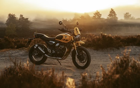 Neufahrzeug Triumph Scrambler 400 XC - Bild 6