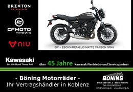 Neumotorrad Kawasaki Z650 RS