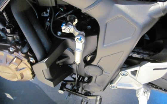 Neufahrzeug Honda CB650R - Bild 1