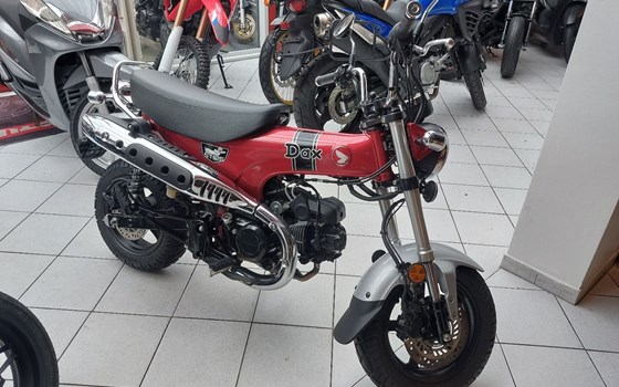 Gebrauchtmotorrad Honda Dax 125 - Bild 1