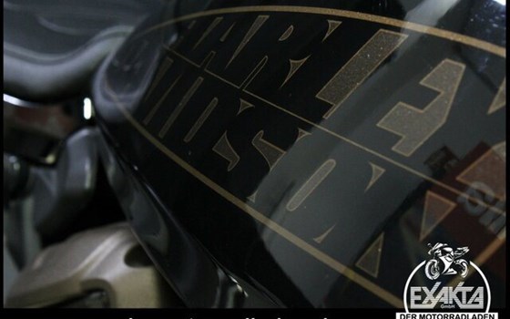 Gebrauchtmotorrad Harley-Davidson Sportster S RH1250S - Bild 28