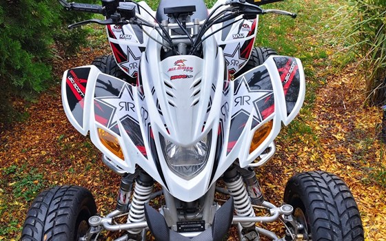 Gebrauchtmotorrad Dinli 450 Special Onroad - Bild 1 Gebrauchtmotorrad Dinli 450 Special Onroad - Bild 1