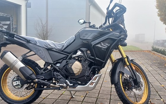 Neufahrzeug Voge 800 Rally - Bild 3